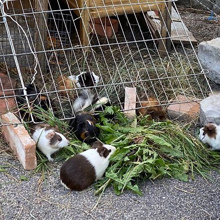 A La Maladiere Neuchâtel Εξωτερικό φωτογραφία
